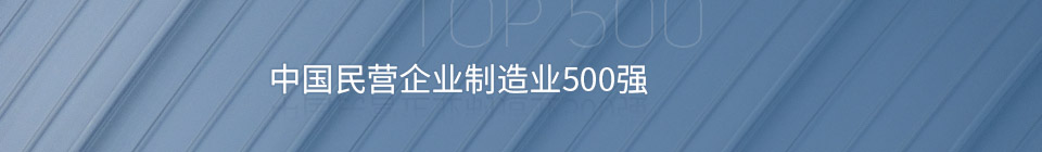 中國民營企業制造業500強